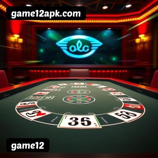 game12 Rio de Janeiro - Bonus Terms